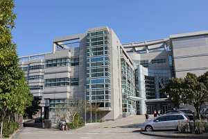 Japanese International School