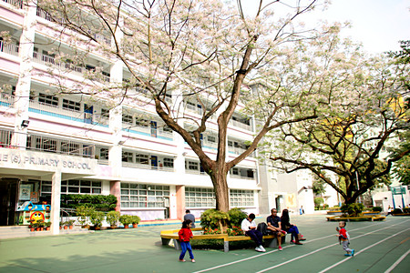 A photo of Sir Ellis Kadoorie (Sookunpo) Primary School