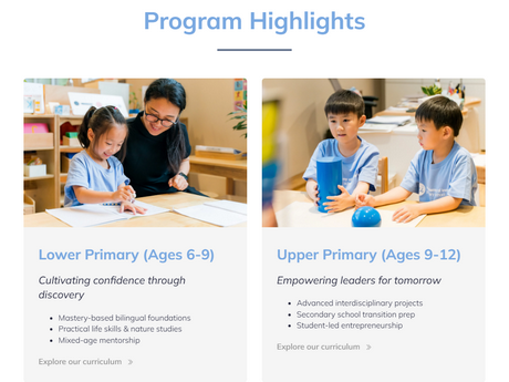 Website Screenshot of Academy of Innovation Primary School