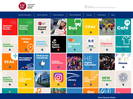 Website Screenshot of Discovery College